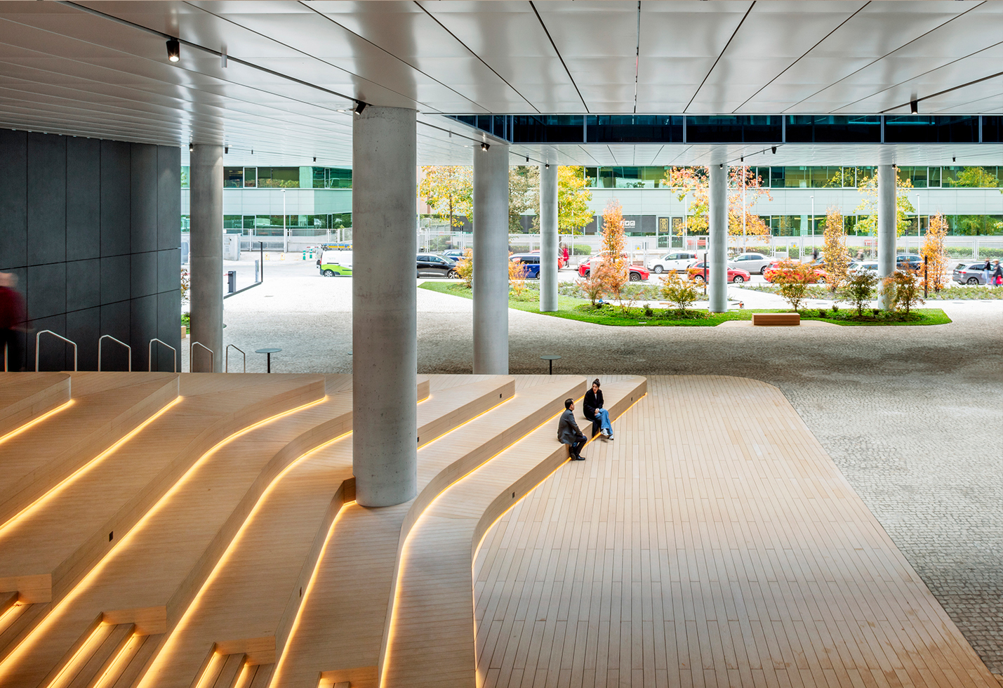 Edificio skylight 13